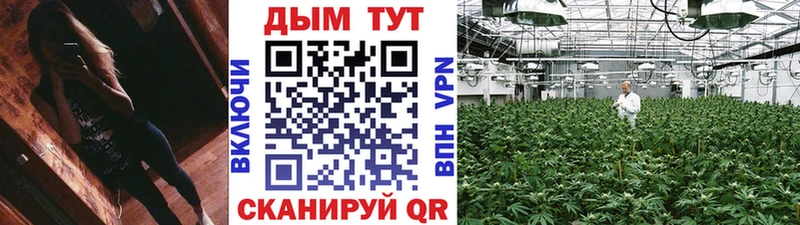 Шишки марихуана планчик  купить наркоту  Юрга 